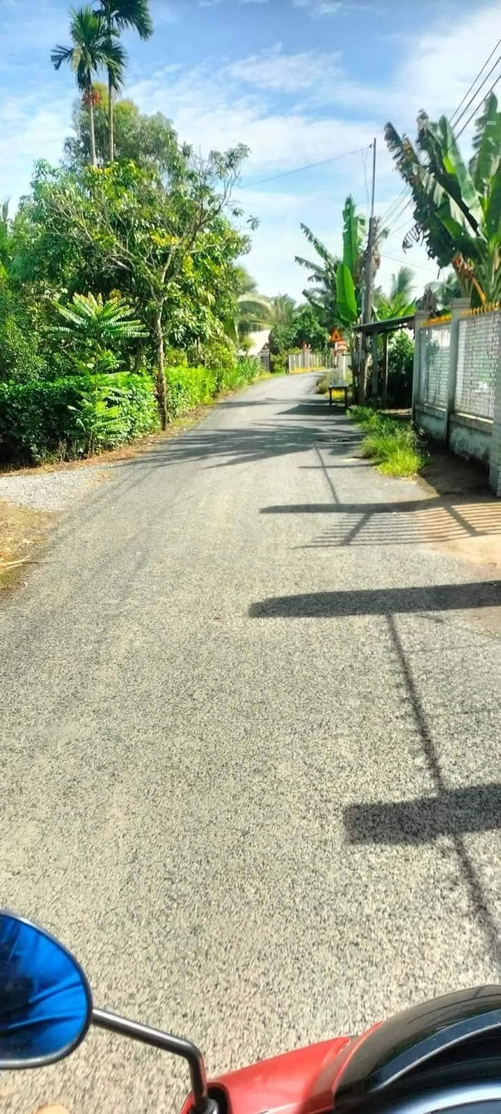 Đất nền 3854m² Nhị Trường, Cầu Ngang, Trà Vinh - Giá chỉ 175 triệu!