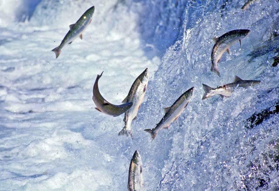 Đất nền Đào Tấn, Từ Sơn 80m² giá 10 tỷ - Cơ hội đầu tư hiếm có!