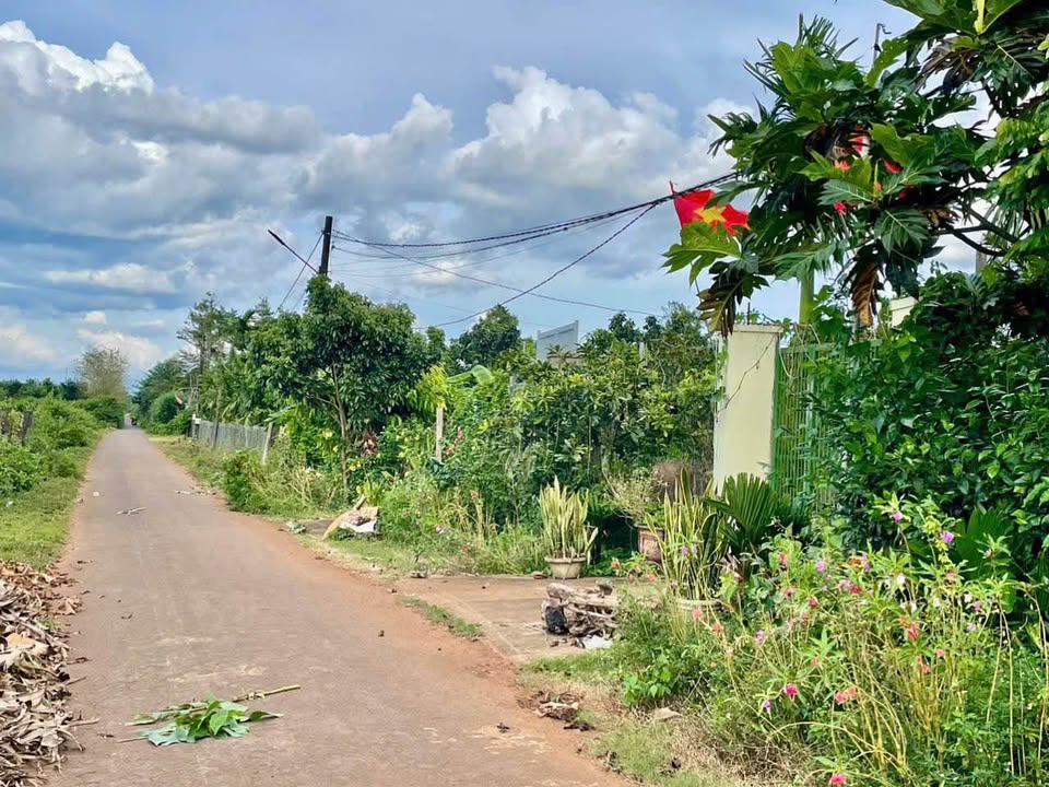 Đất nền mặt hẻm Nguyễn Kiệm, Pleiku 125m² giá chỉ 299 triệu - Cơ hội đầu tư vàng!