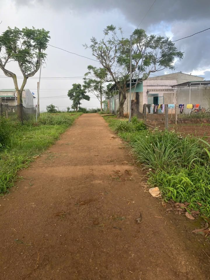 Đất nền An Phú, Pleiku 125m² giá chỉ 4xx triệu - Đường thông 2 đầu!