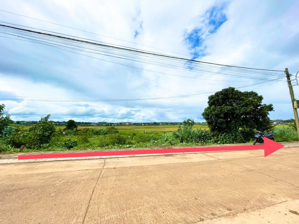 Đất nền Dương Minh Châu Pleiku 850m² giá 1 tỷ - Phát triển nhà vườn lý tưởng!