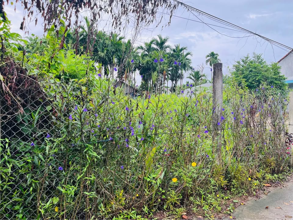 Đất Nghĩa Điền, TP Quảng Ngãi 108m² giá 650 triệu - Hướng Đông, ô tô vào tận nơi!