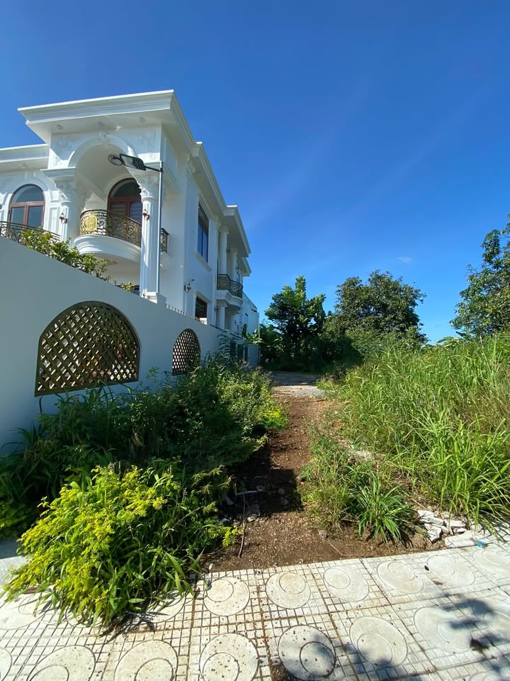 Bán gấp mặt tiền đường Hùng Vương, Tân Phú 105m² giá 2.1 tỷ - Vị trí đẹp, gần trường học!