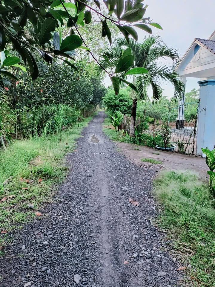 Đất nền Tân Nhuận Đông 15.000m² giá 150 triệu - Mặt tiền đường rộng, tiện ích đầy đủ!