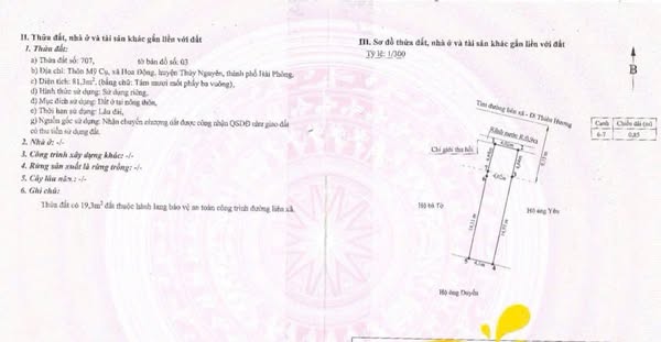 Đất nền Thủy Nguyên 81m² giá 5 tỷ - Khu vực buôn bán sầm uất!