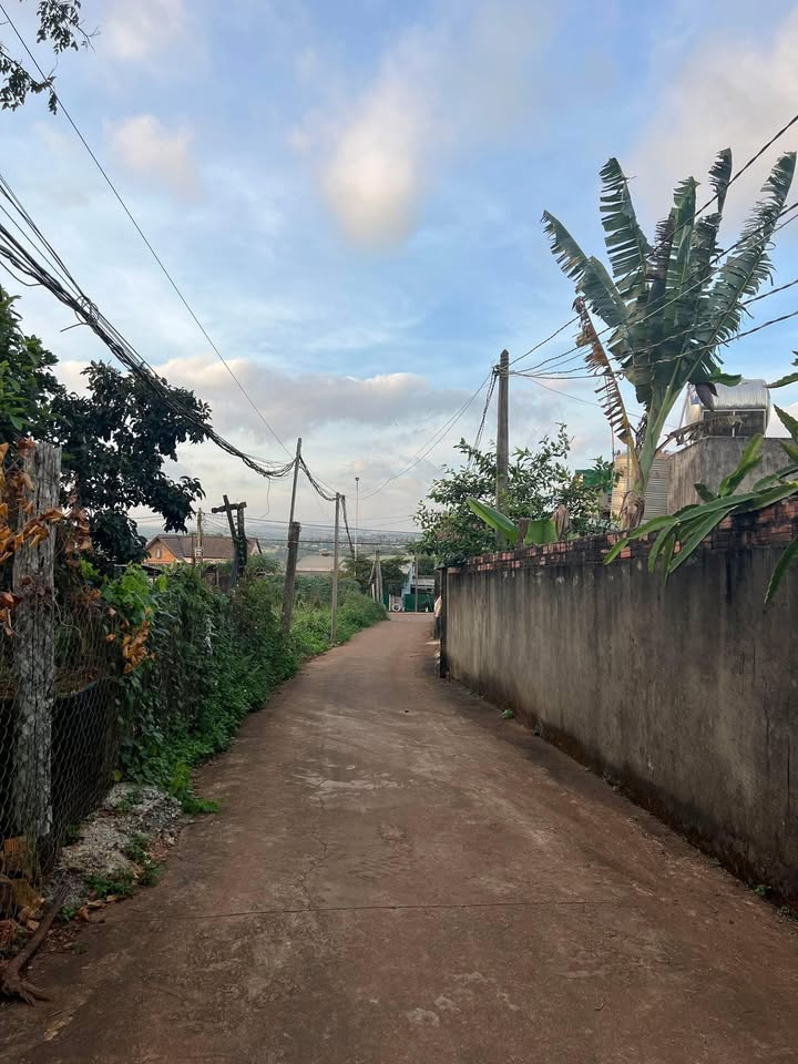 Đất thổ cư 210m² tại đầu hẻm 109 Nguyễn Trãi - Chính chủ bán gấp chỉ 2.25 tỷ!