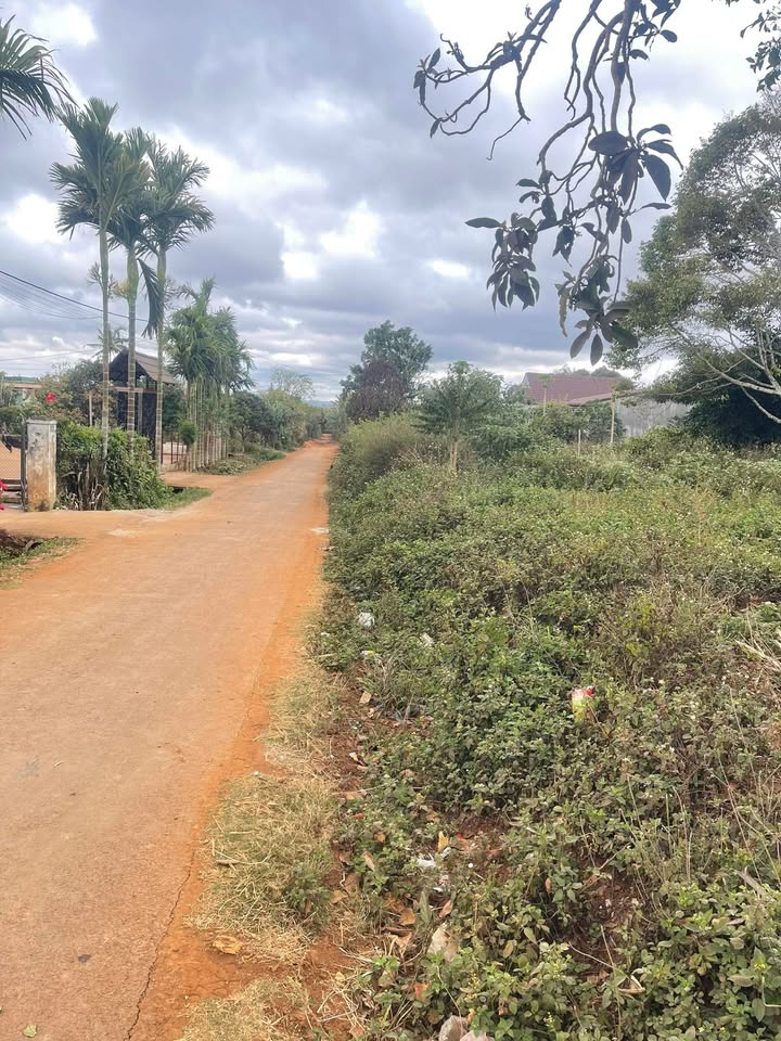 Đất nền Ea Hồ, Krông Năng 200m² chỉ 650 triệu - Đầu tư sinh lời hiệu quả!