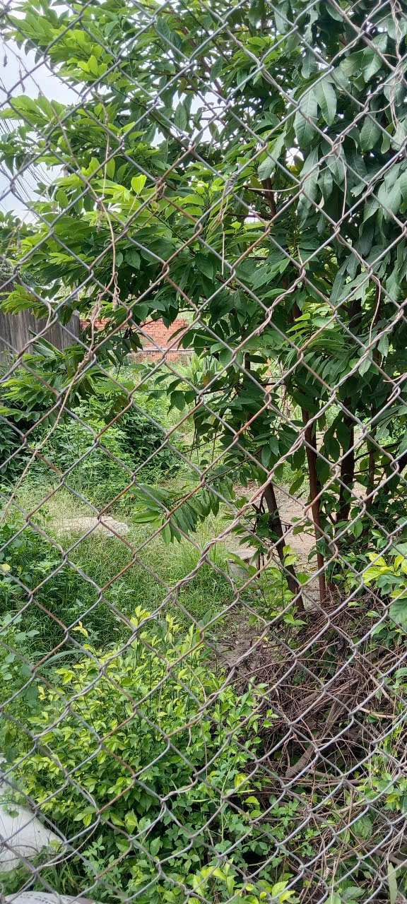 Đất nền phường Tân Thành 700m² giá chỉ 2.17 tỷ - Cơ hội đầu tư hấp dẫn!