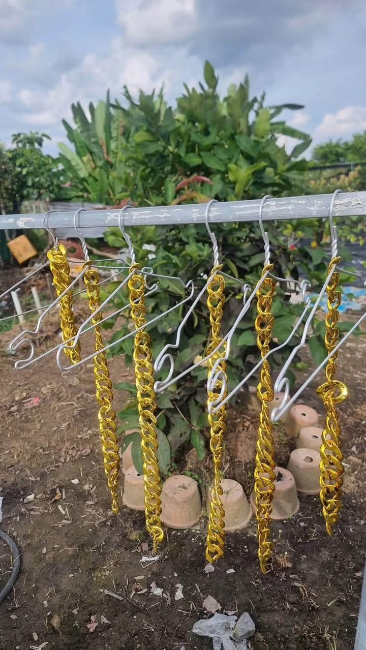 Đất tái định cư Tương Bình Hiệp Thủ Dầu Một 100m² giá 2 tỷ - Cơ hội đầu tư tuyệt vời!