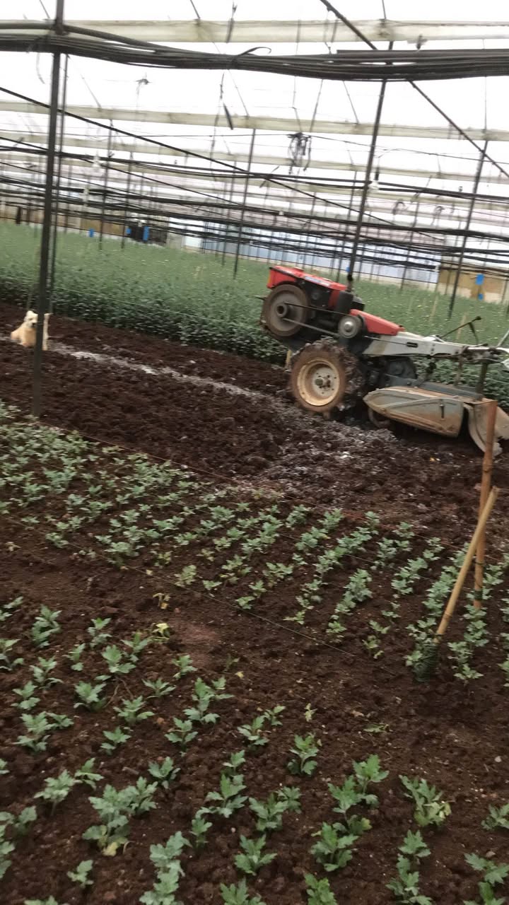 Đất nông nghiệp 3000m² tại Đá Quý, Đà Lạt - Giá 7 tỷ thương lượng!