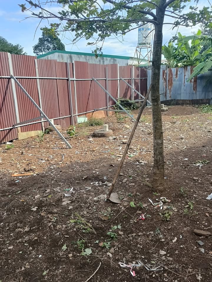 Đất nền chính chủ tại phường Thành Nhất, Buôn Ma Thuột 73m² - Giá chỉ 100 triệu VND!