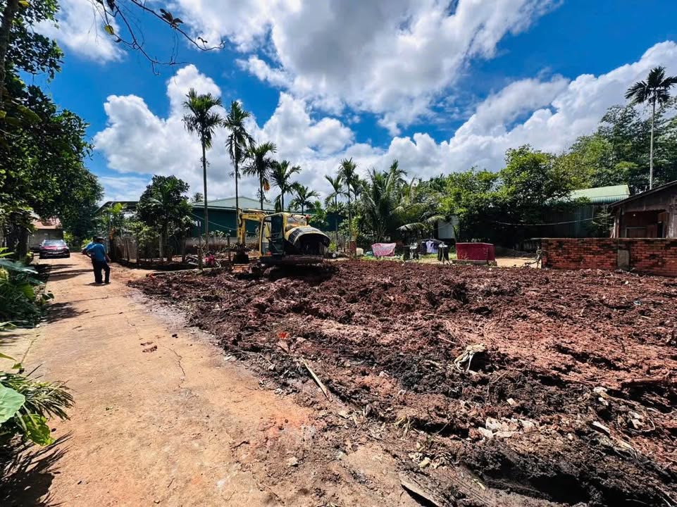 Đất thổ cư Tân Lập 362.25m² giá chỉ 3 tỷ - Khu dân cư an ninh!