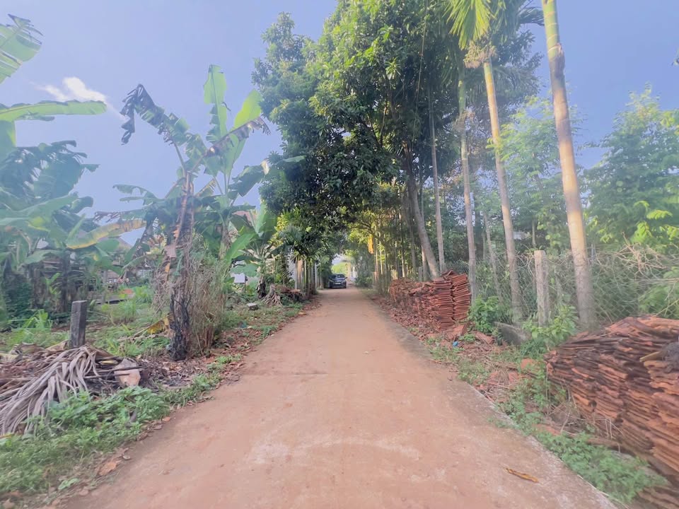 Đất mặt tiền KB3 Tân An 100m² giá 1.15 tỷ - Cơ hội đầu tư tuyệt vời!