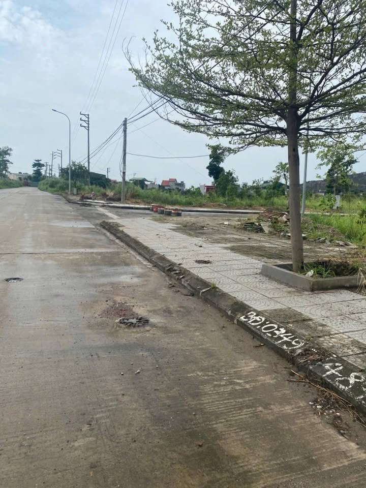 Đất nền khu 10 Thanh Sơn, Uông Bí 93m² giá chỉ 700 triệu - Sổ hồng chính chủ!