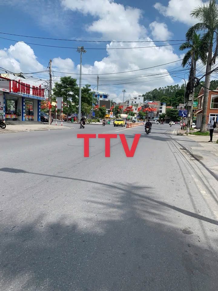 Đất nền mặt đường Trần Tất Văn, quận Kiến An, 100m² - Vị trí đẹp kinh doanh sầm uất!