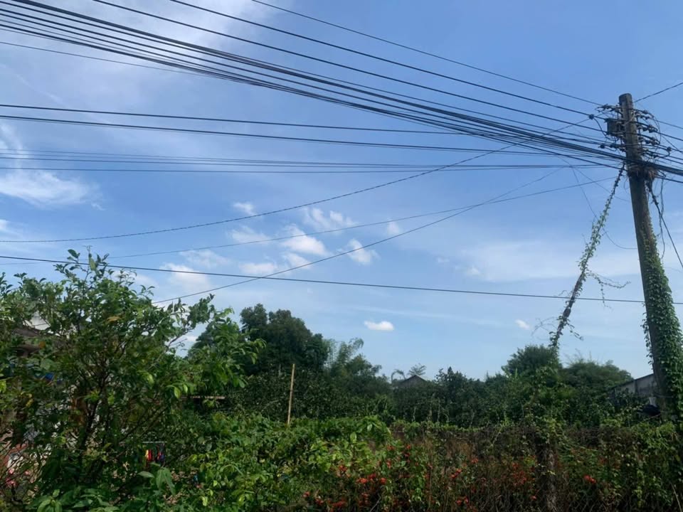 Đất nền Tân Triều Biên Hòa 1,1 sào giá 7,5 tỷ - Cơ hội đầu tư hiếm có!