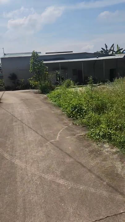 Đất Tân Triều Vĩnh Cửu 1000m² giá 3.1 tỷ - Tiềm năng đầu tư cao!