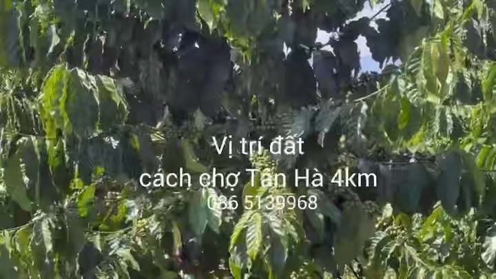 Đất nền xã Tân Hà, Lâm Hà 7200m² giá 1.43 tỷ - Cơ hội đầu tư tuyệt vời!