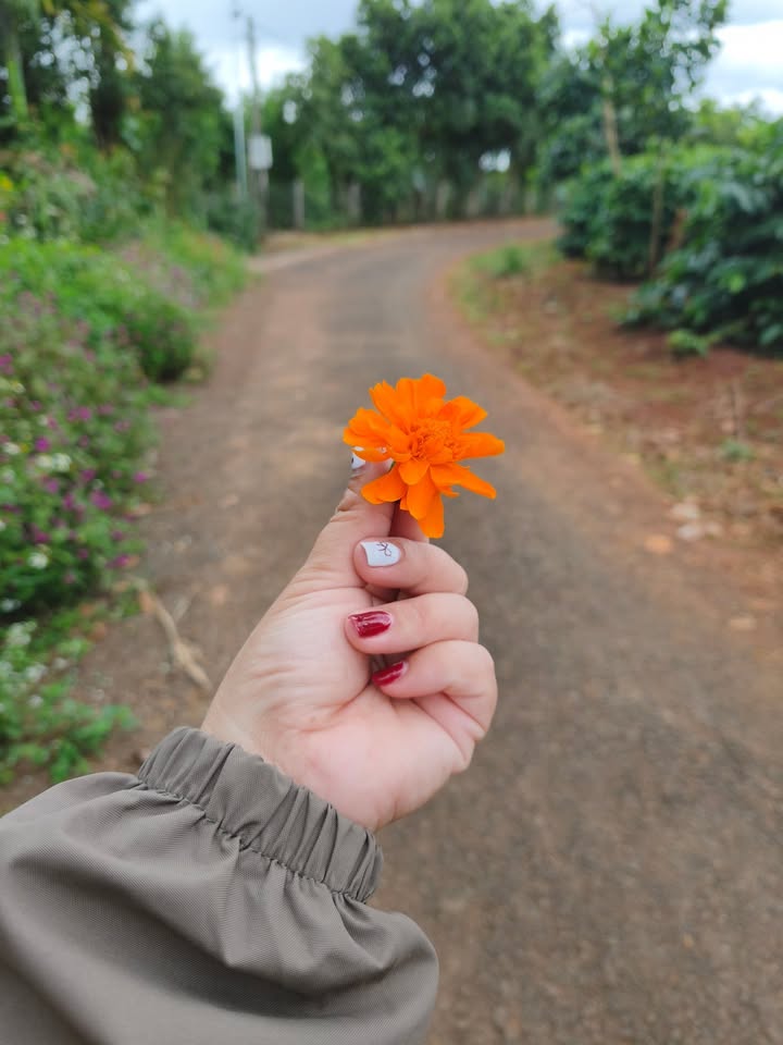 Đất nền Ia Hrung, Ia Grai 195m² giá chỉ 220 triệu - Mặt tiền đường nhựa liên xã