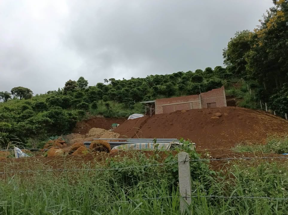 Đất nền Thanh Phú Long, Châu Thành, Long An 218m² giá 700 triệu - Cơ hội đầu tư tuyệt vời!