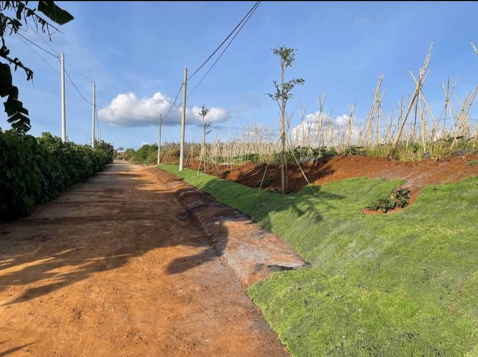 Đất nền Liên Hiệp, Đức Trọng 100m² giá 760 triệu - Sổ đỏ chính chủ, công chứng ngay!