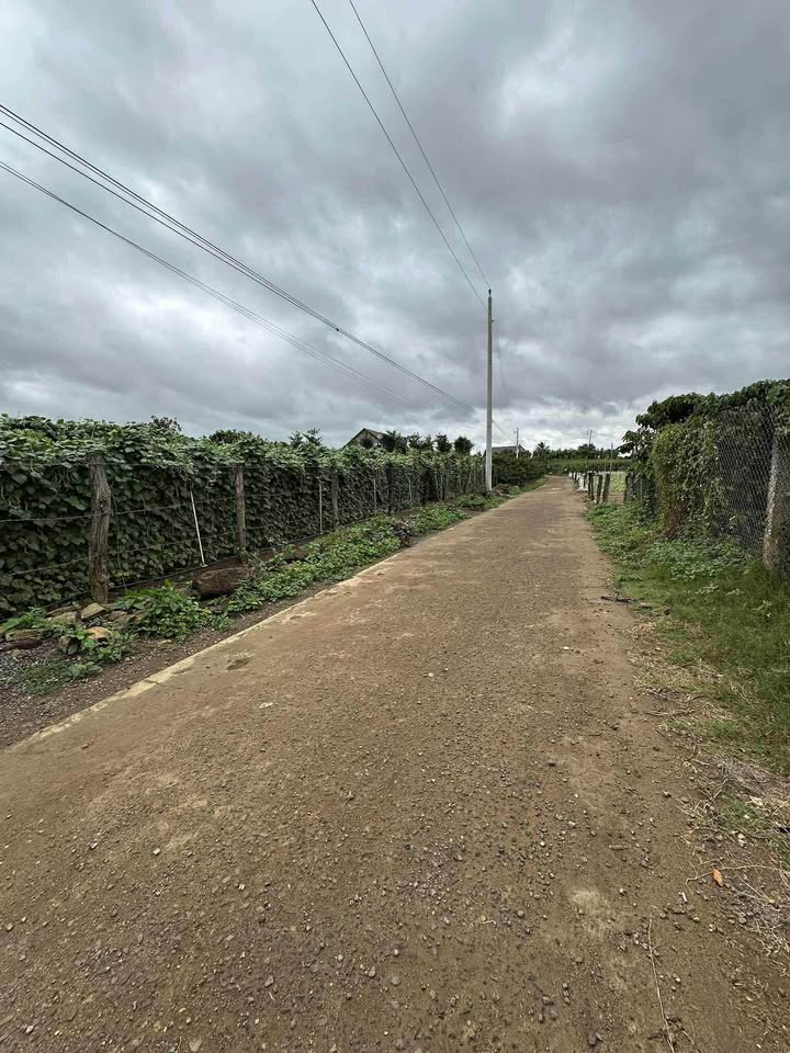 Đất nền Tân Hội 200m² giá chỉ 550 triệu - Sổ đỏ sang tên ngay!