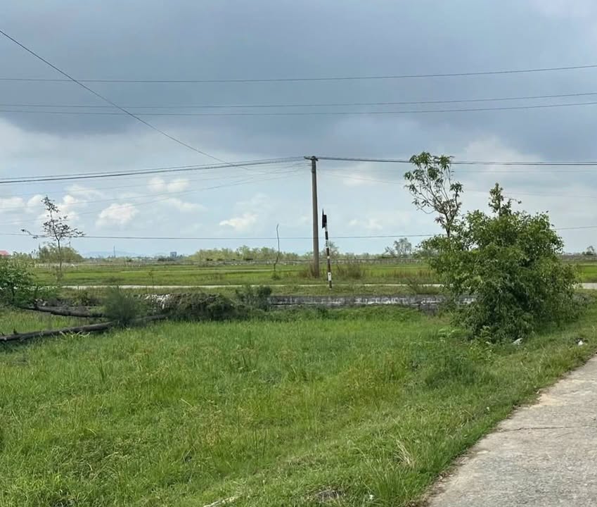 Đất nền Thạch Tượng Thanh Hóa 1460m² giá 1 tỷ - Cơ hội đầu tư hấp dẫn!