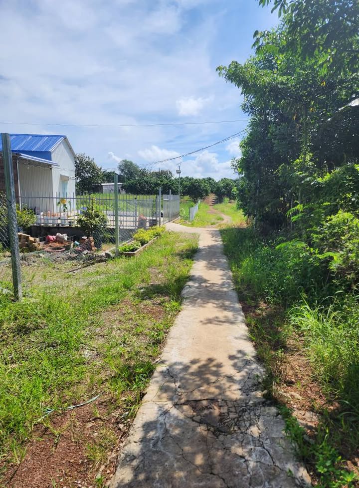 Đất nền Xuân Thành - 1106m² giá 800 triệu - Cơ hội đầu tư tuyệt vời!