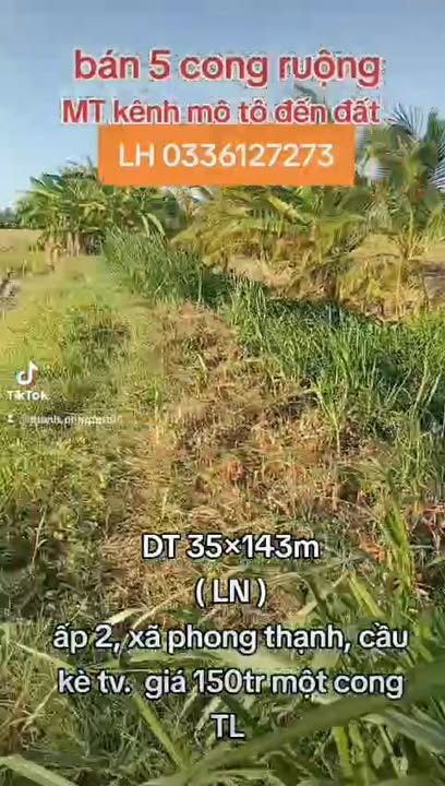 Đất nông nghiệp 50.000m² mặt tiền kênh, xã Phong Thạnh, Cầu Kè - Giá chỉ 500 triệu!