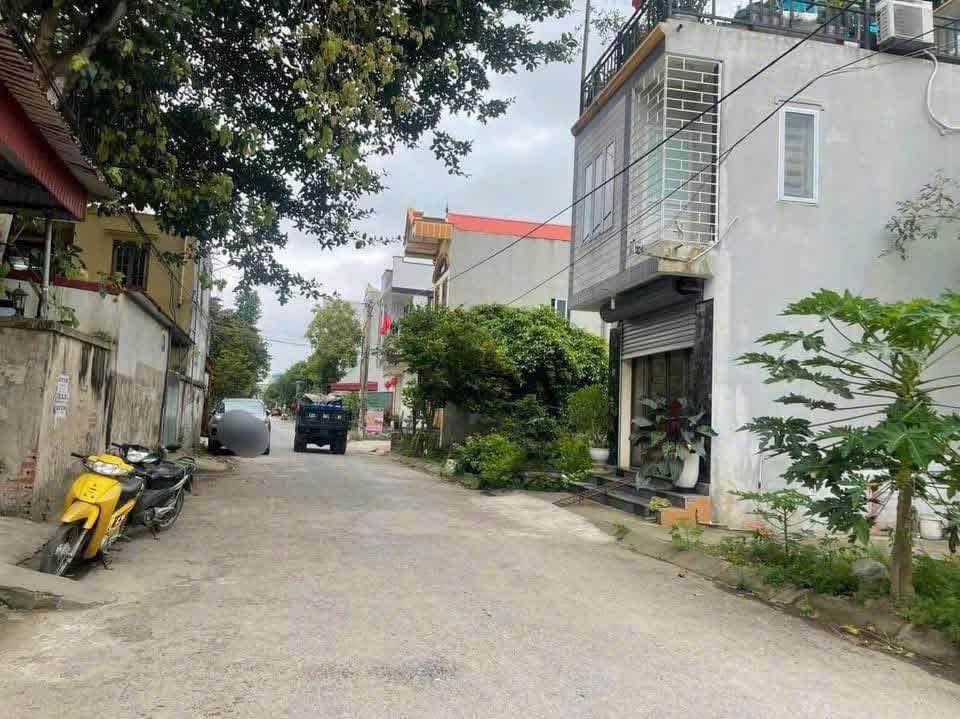 Đất nền Bùi Phổ, Tân Thành, Dương Kinh 198m² - Cơ hội đầu tư sinh lời