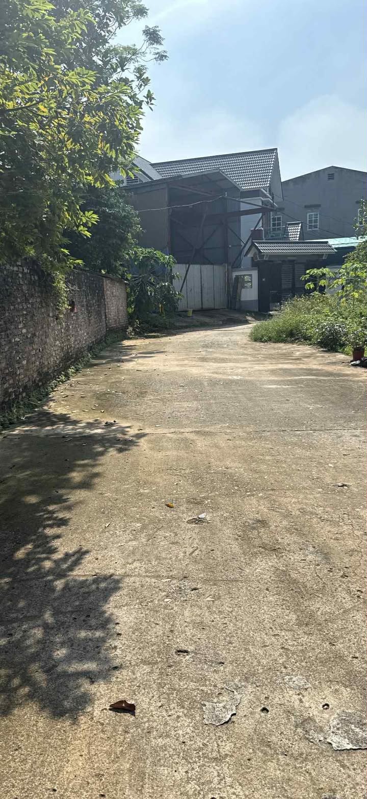 Đất nền Thanh Miếu, Việt Trì 138m² giá 4.2 tỷ - Cơ hội đầu tư hấp dẫn!