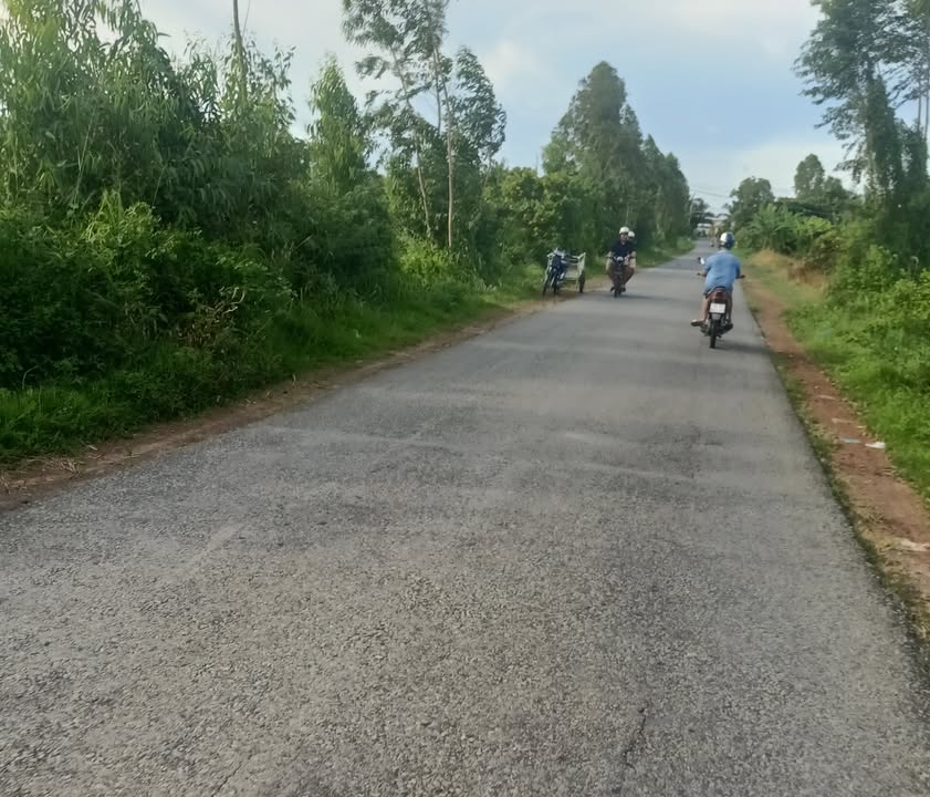 Đất nền 2 công xã Phú Lễ, Ba Tri, Bến Tre - Giá chỉ 320 triệu, cơ hội đầu tư tuyệt vời!