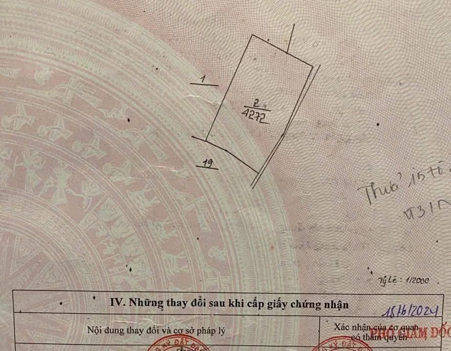 Đất nền Lộc Đức Bảo Lâm 4200m² giá 2.8 tỷ - Đầu tư sinh lời ngay!