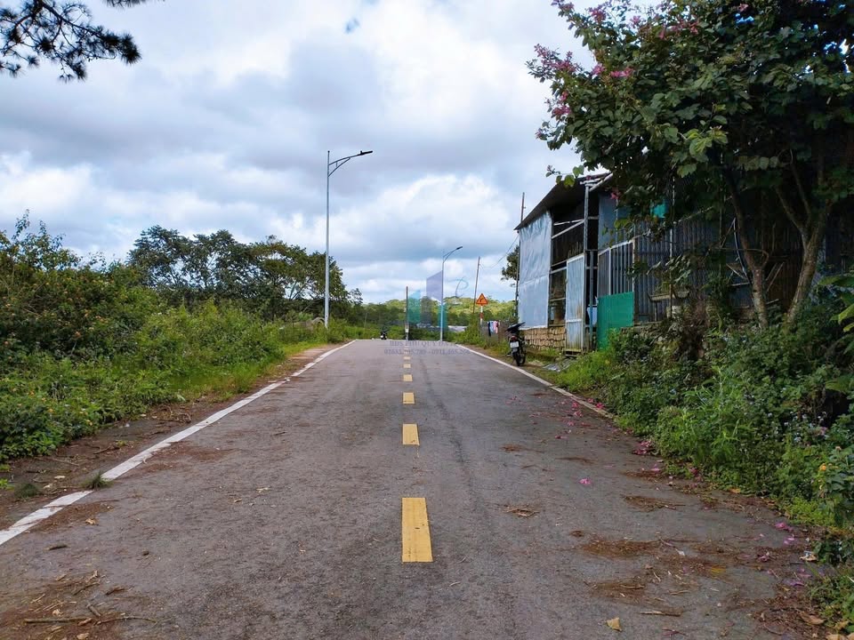 Đất nền Măng Line Đà Lạt 338.81m² giá 6.8 tỷ - Đầu tư sinh lời tiềm năng!