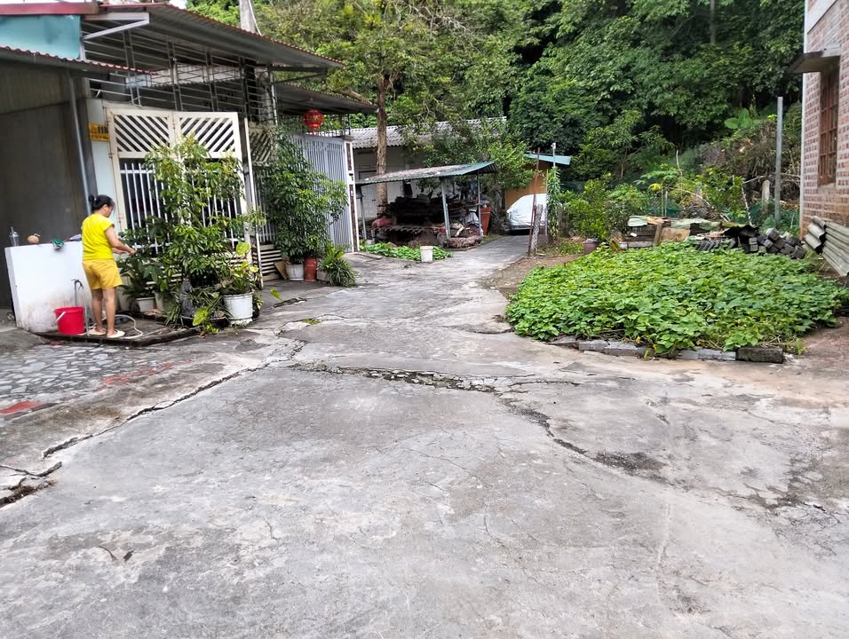 Đất thổ cư đường Lý Tự Trọng, Hà Giang 135m² giá 2 tỷ - Phù hợp làm homestay!