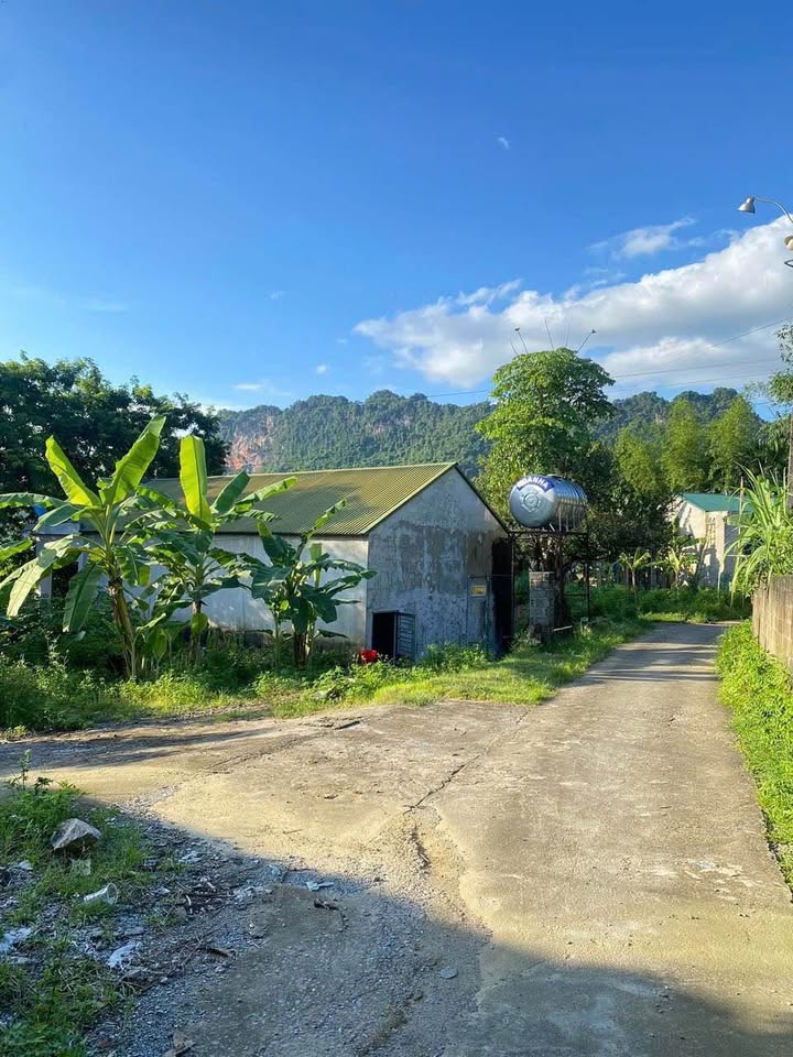 Đất thổ cư 90m² tại Ngọc Đường, Hà Giang chỉ 400 triệu - Đầu tư vừa túi tiền không nên bỏ lỡ!