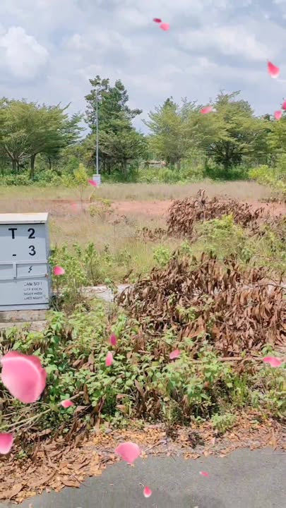 Đất nền Thung Lũng Xanh An Phước 119m² giá 1.4 tỷ - Sổ đỏ chính chủ!