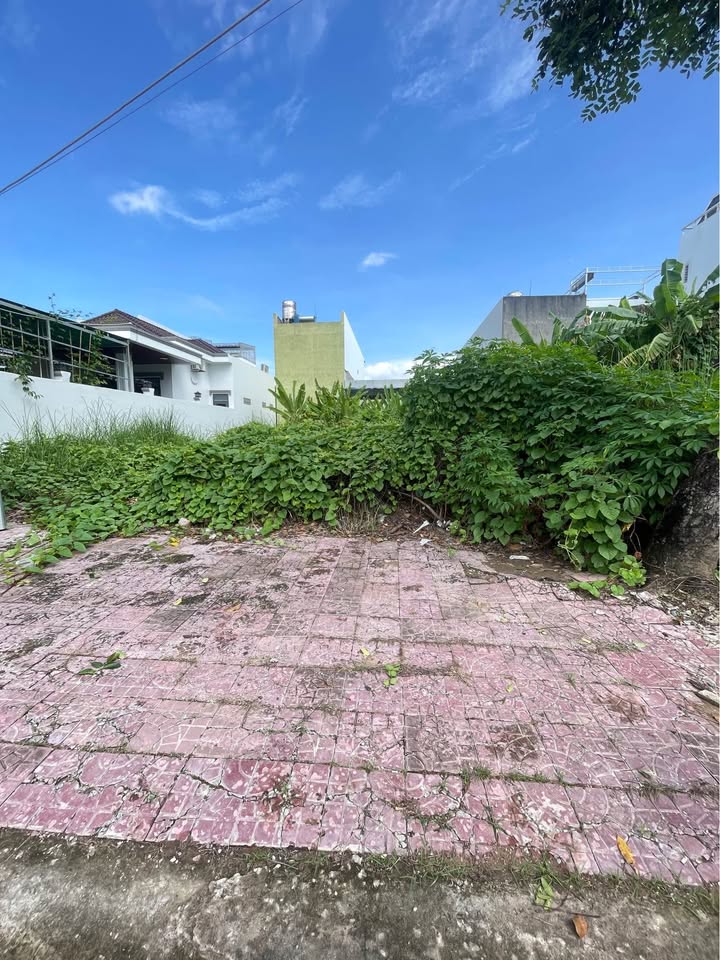 Đất nền đường Tố Hữu, KDC Licogi Cà Mau 100m² giá 1.3 tỷ - Vị trí đẹp, pháp lý đầy đủ!