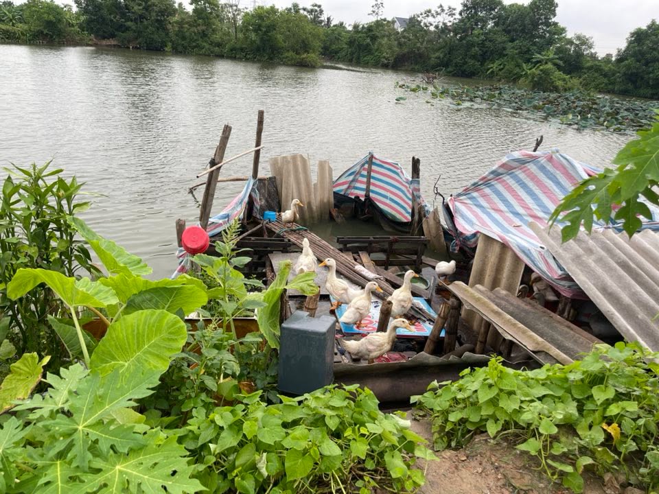 Đất nền Nguyễn Trãi, Chí Linh 1500m² giá chỉ 1.68 tỷ - Sổ đỏ chính chủ!