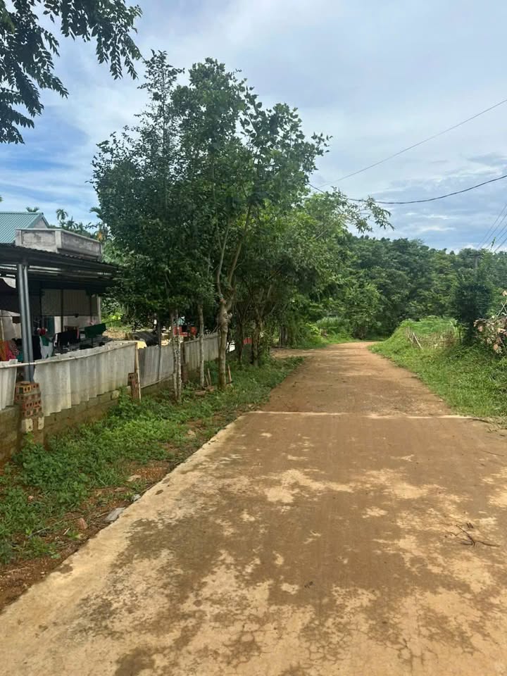 Đất nền Nguyệt Ấn, Ngọc Lặc 200m² giá 100 triệu - Cơ hội đầu tư tuyệt vời!