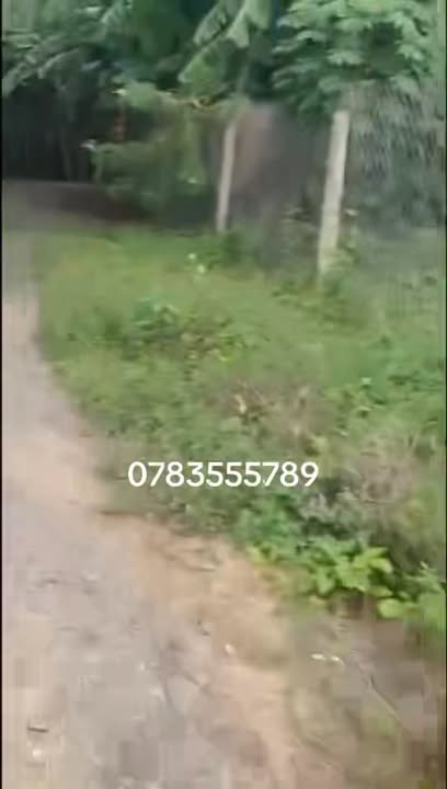 Đất nền xã Bình Lợi - Vĩnh Cửu 584m² giá 2.8 tỷ - Tặng nhà cấp 4 view sông!