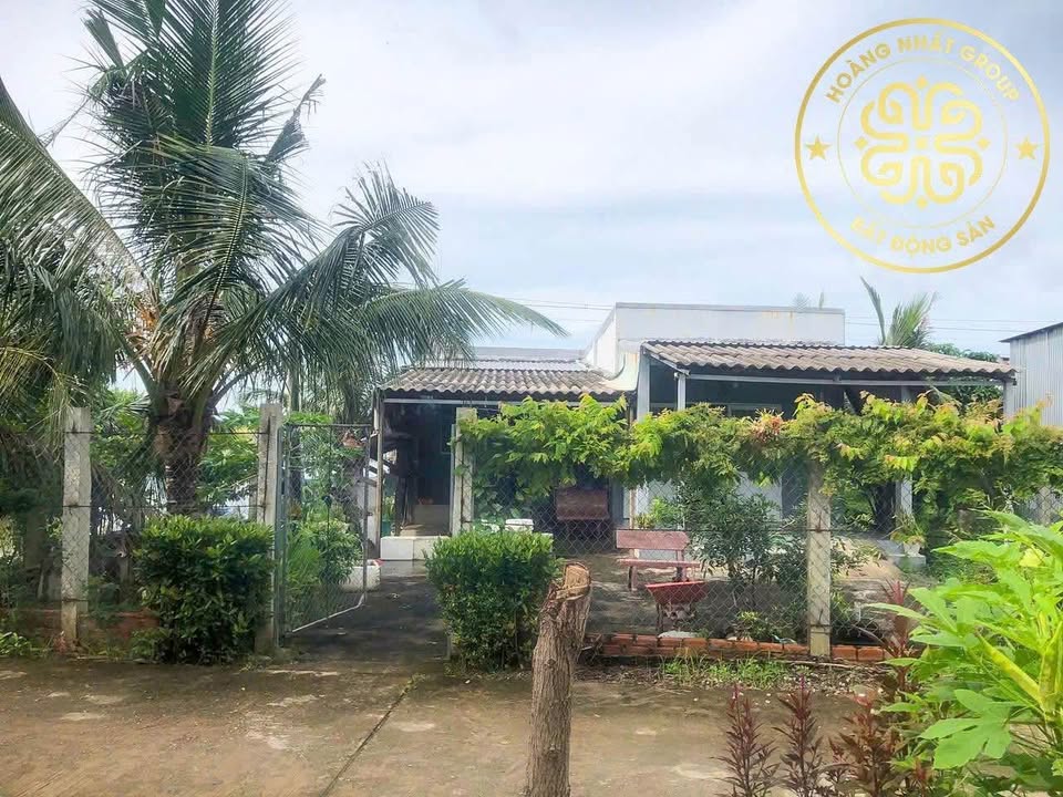 Đất nền Tân Tiến, Đầm Dơi 5550m² chỉ 1.65 tỷ - View sông thoáng mát!