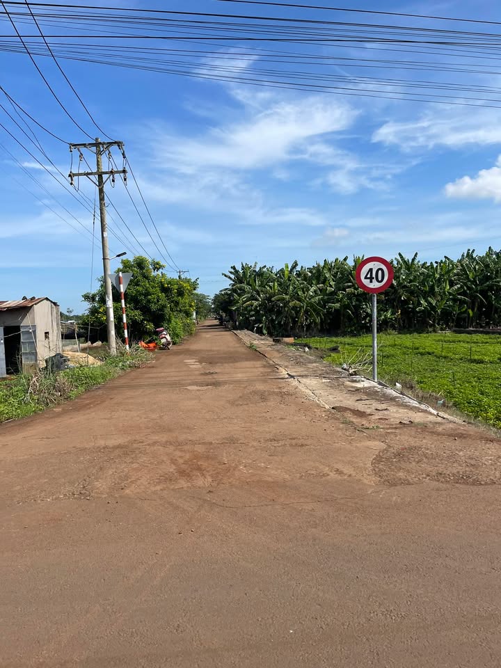 Đất thổ cư góc 2 mặt tiền xã Gia Kiệm, 110m² giá 580 triệu - Đầu tư sinh lời ngay!