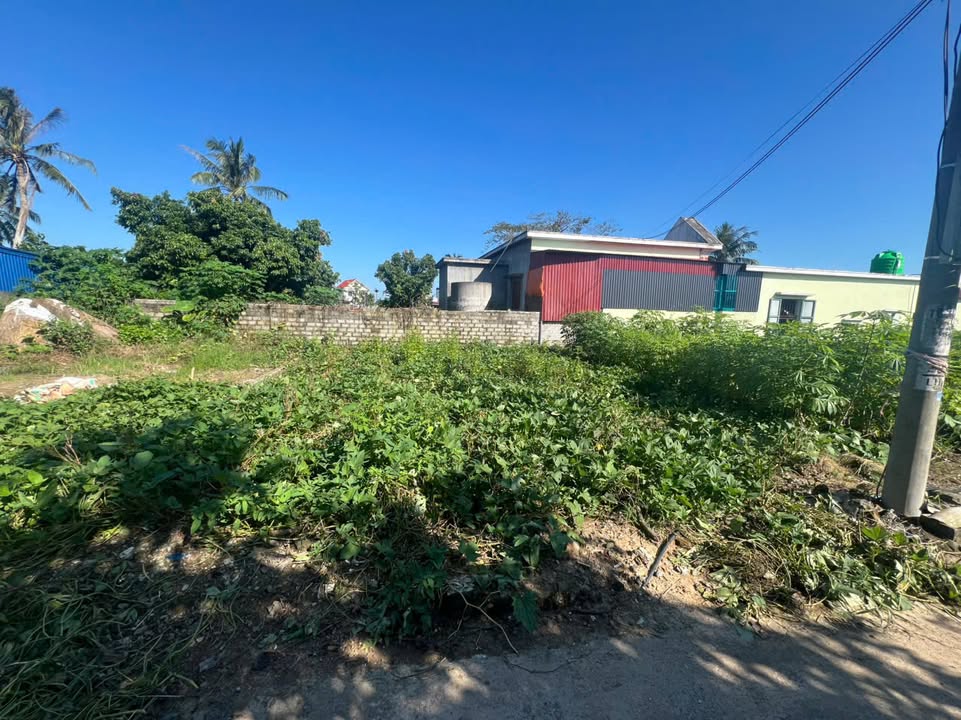 Đất nền tại Thôn Nam Tử, xã Kiến Thiết 74.7m² giá 500 triệu - Đầu tư sinh lời ngay!