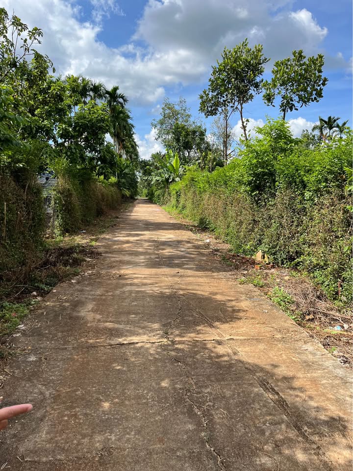 Đất nền Hòa Phú Buôn Ma Thuột 115m² giá 500 triệu - Đầu tư sinh lời ngay!