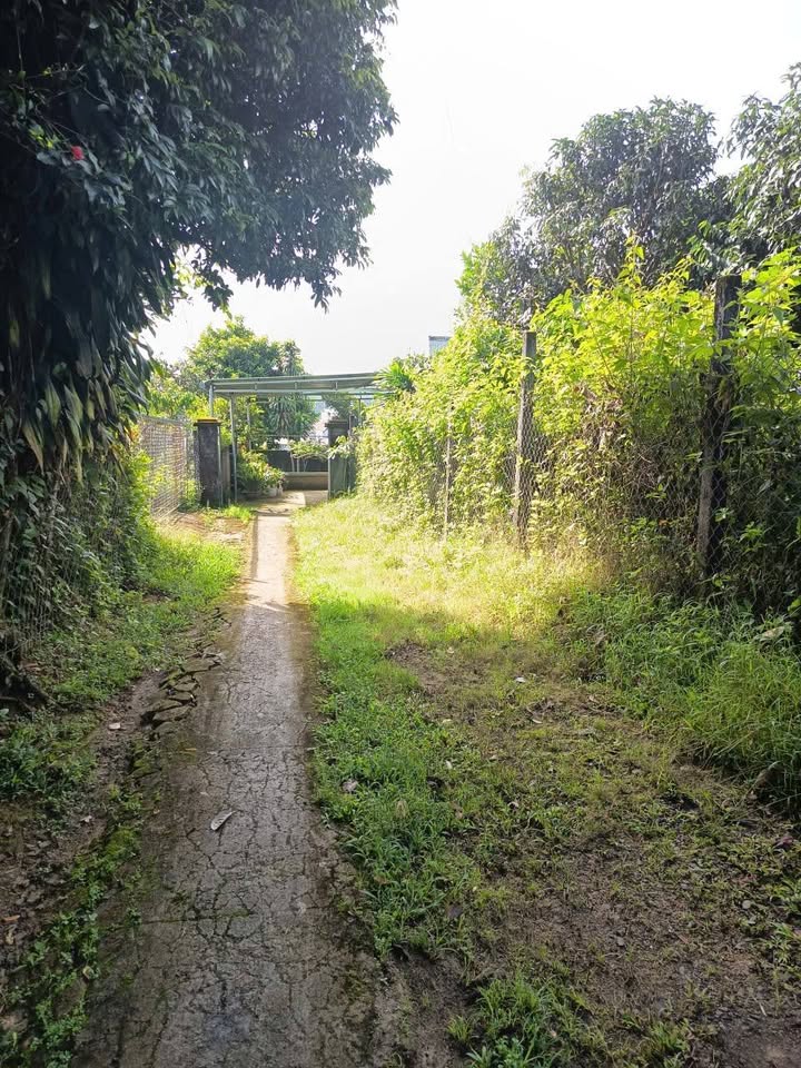 Đất thổ cư Lộc Châu Bảo Lộc 400m² giá 3.1 tỷ - Cơ hội đầu tư tuyệt vời!