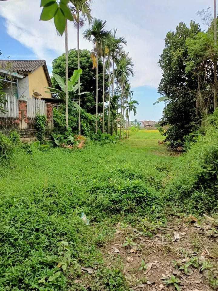 Đất nền Điện Minh 200m² giá chỉ 9xx triệu - Cơ hội đầu tư hấp dẫn!