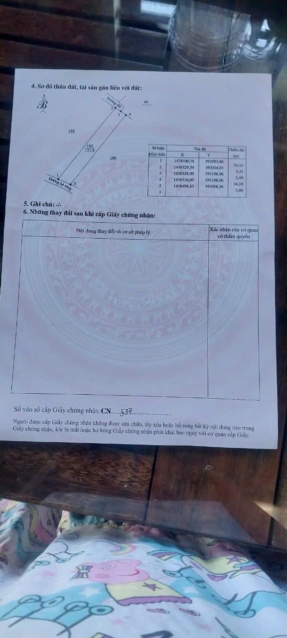 Đất nền Hòa Hiệp, Cư Kuin 175m² giá chỉ 750 triệu - Cơ hội đầu tư tuyệt vời!