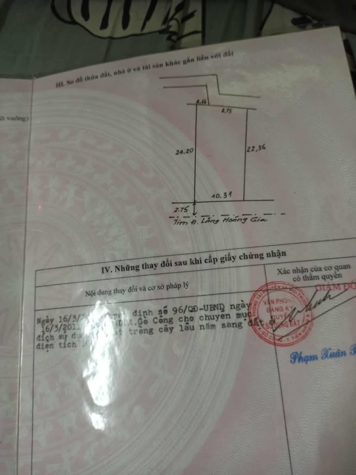 Đất nền thổ cư mặt tiền Lăng Hoàng Gia 251m² giá 1.25 tỷ - Đầu tư sinh lời!