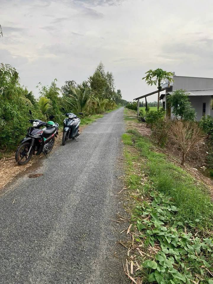 Đất nông nghiệp Định Thành, Thoại Sơn 30.000m² giá 1.2 tỷ - Mặt tiền 18m, gần tỉnh lộ!